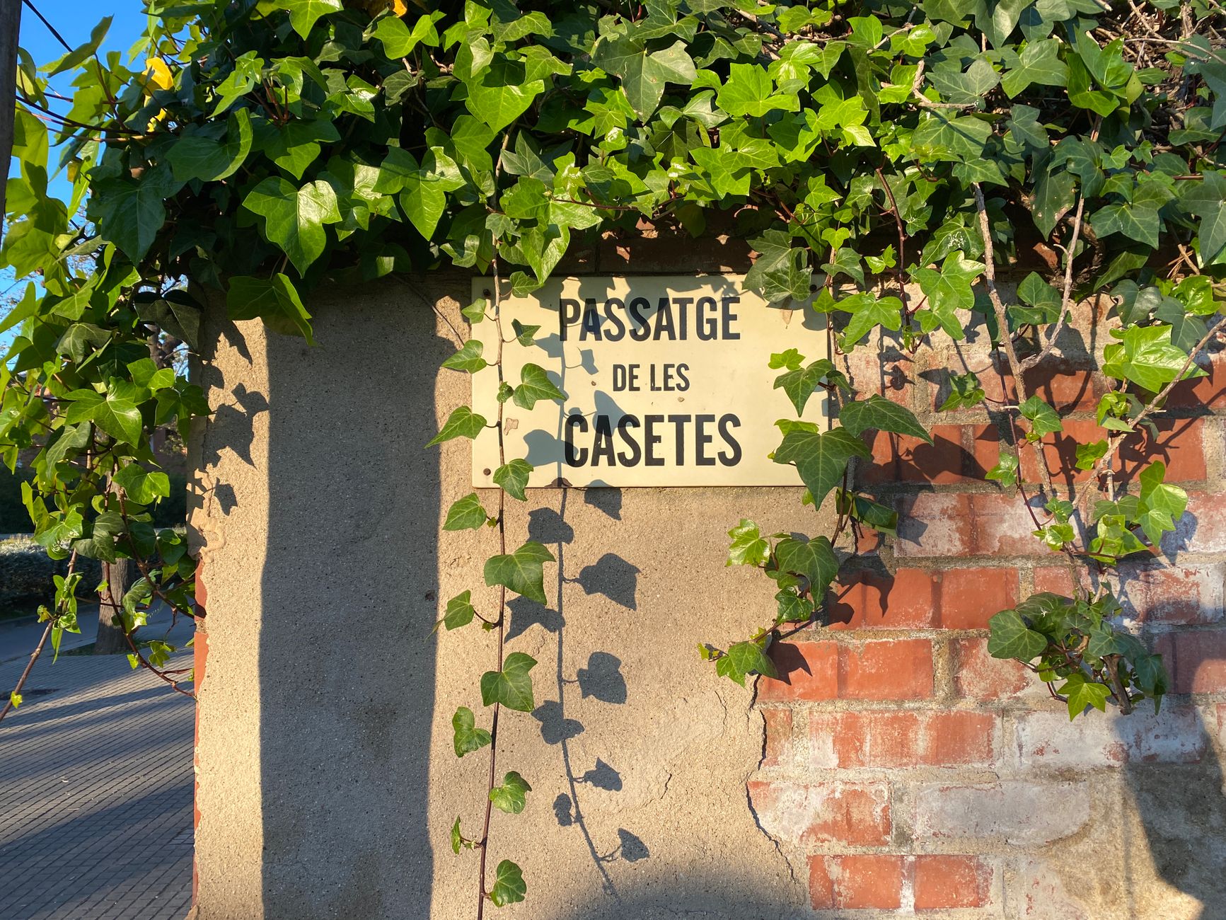 Sous les pavés, les trésors : plongez dans les caves royales de Sèvres