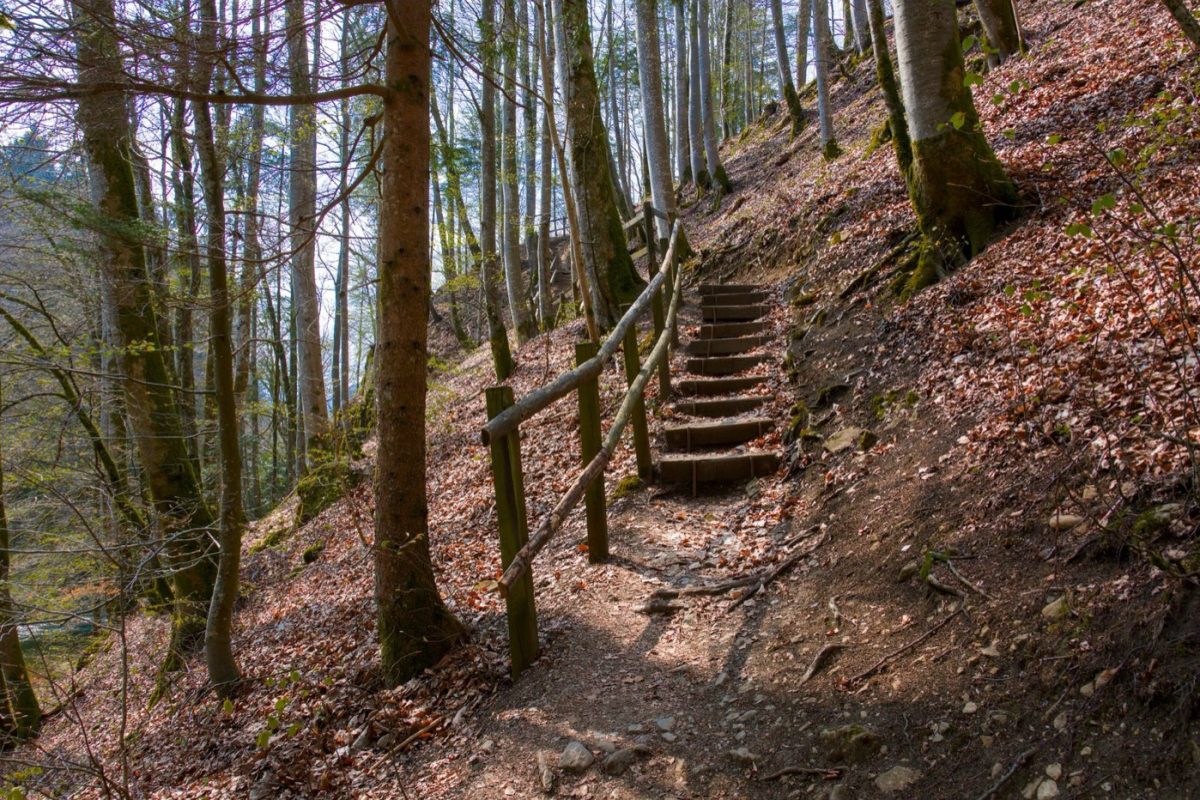 Santé des voyageurs : conseils et checklist avant départ