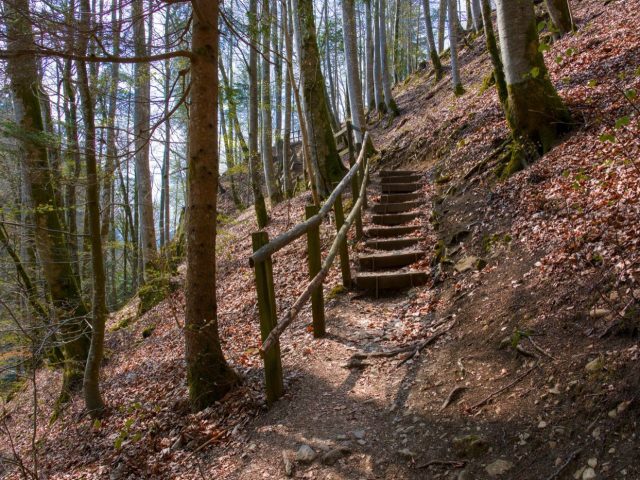 Santé des voyageurs : conseils et checklist avant départ